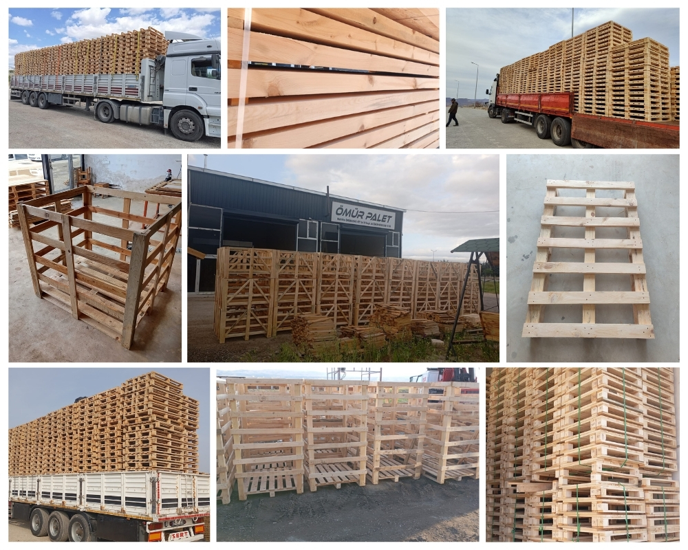 Maserada sul Piave Palette Europe, Acheter des palettes en gros